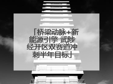桥梁动脉+新能源引擎 武陟经开区双赛道冲刺半年目标