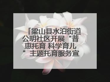 梁山县水泊街道公明社区开展“普惠托育 科学育儿”主题托育服务宣传活动