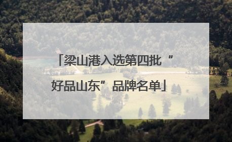 梁山港入选第四批“好品山东”品牌名单