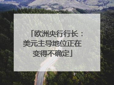 欧洲央行行长：美元主导地位正在变得不确定