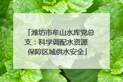 潍坊市牟山水库党总支：科学调配水资源 保障区域供水安全
