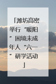 潍坊高密举行“暖阳”困境未成年人“六一”研学活动