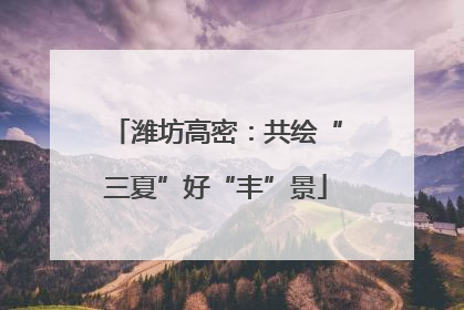 潍坊高密：共绘“三夏”好“丰”景