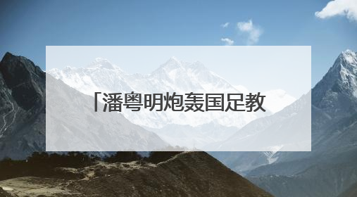 潘粤明炮轰国足教练伊万：一个装傻不辞职的所谓教练，你指望它拯救中国足球！此前曾多次发文评价国足
