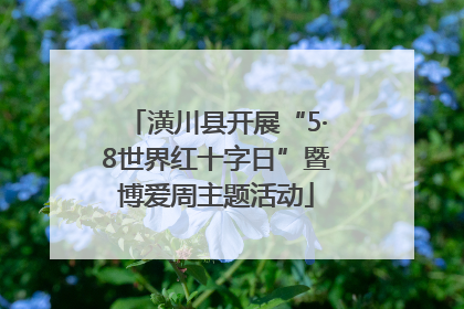 潢川县开展“5·8世界红十字日”暨博爱周主题活动