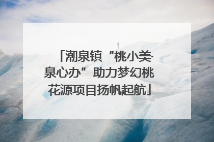 潮泉镇“桃小美·泉心办”助力梦幻桃花源项目扬帆起航