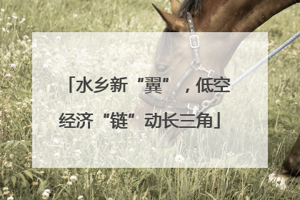 水乡新“翼”，低空经济“链”动长三角