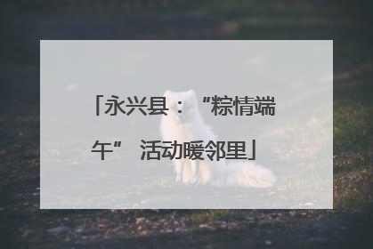 永兴县：“粽情端午” 活动暖邻里
