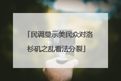 民调显示美民众对洛杉矶之乱看法分裂