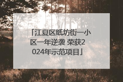 江夏区纸坊街一小区一年逆袭 荣获2024年示范项目