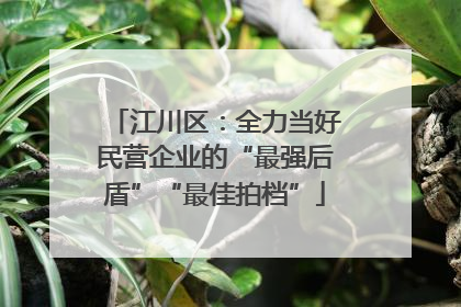 江川区：全力当好民营企业的“最强后盾”“最佳拍档”