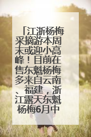 江浙杨梅采摘游本周末或迎小高峰！目前在售东魁杨梅多来自云南、福建，浙江露天东魁杨梅6月中旬大量上市