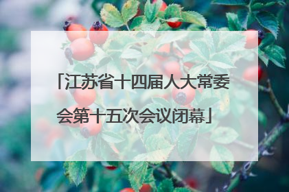 江苏省十四届人大常委会第十五次会议闭幕