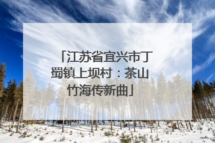 江苏省宜兴市丁蜀镇上坝村：茶山竹海传新曲