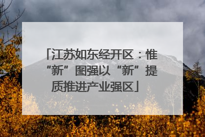 江苏如东经开区：惟“新”图强以“新”提质推进产业强区