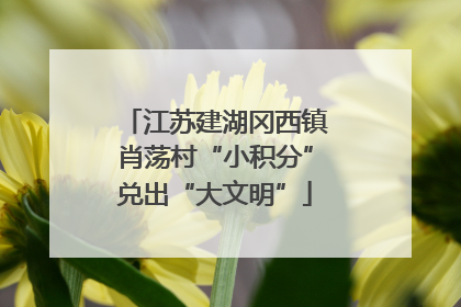 江苏建湖冈西镇肖荡村“小积分”兑出“大文明”