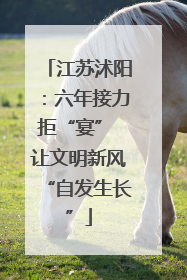 江苏沭阳：六年接力拒“宴” 让文明新风“自发生长”