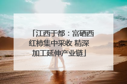 江西于都：富硒西红柿集中采收 精深加工延伸产业链