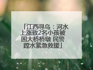 江西寻乌：河水上涨致2名小孩被困大桥桥墩 民警蹚水紧急救援