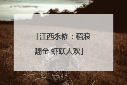 江西永修：稻浪翻金 虾跃人欢