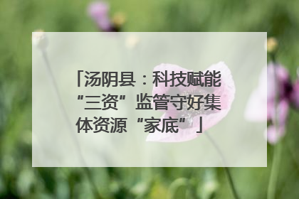 汤阴县：科技赋能“三资”监管守好集体资源“家底”