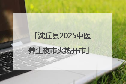 沈丘县2025中医养生夜市火热开市