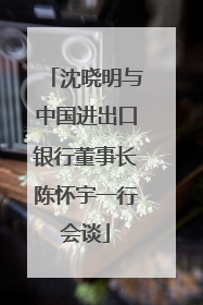 沈晓明与中国进出口银行董事长陈怀宇一行会谈