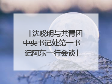 沈晓明与共青团中央书记处第一书记阿东一行会谈