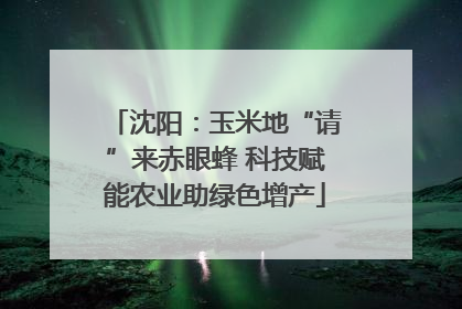 沈阳：玉米地“请”来赤眼蜂 科技赋能农业助绿色增产