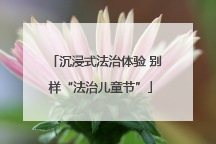沉浸式法治体验 别样“法治儿童节”