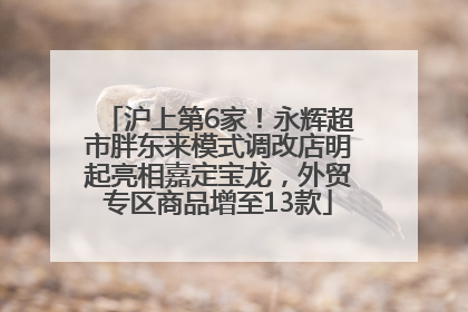 沪上第6家！永辉超市胖东来模式调改店明起亮相嘉定宝龙，外贸专区商品增至13款