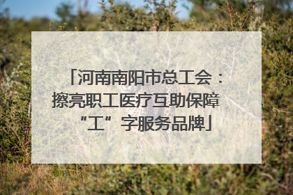河南南阳市总工会：擦亮职工医疗互助保障“工”字服务品牌
