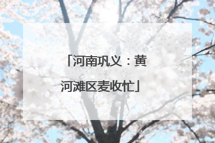 河南巩义：黄河滩区麦收忙
