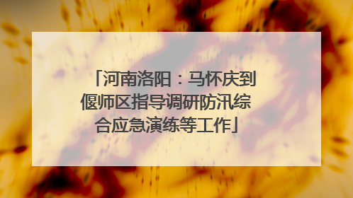 河南洛阳：马怀庆到偃师区指导调研防汛综合应急演练等工作