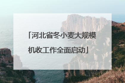 河北省冬小麦大规模机收工作全面启动
