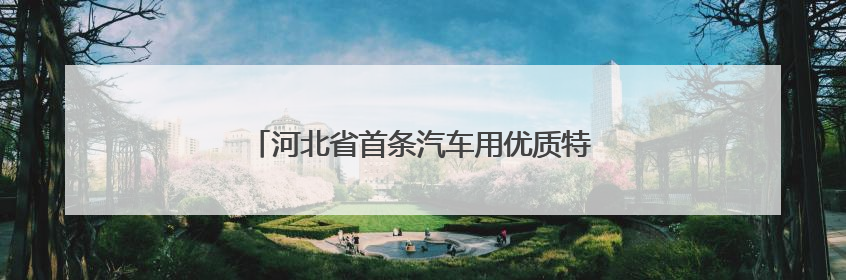 河北省首条汽车用优质特种浮法玻璃生产线点火