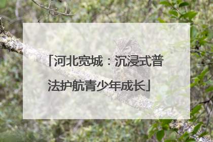 河北宽城：沉浸式普法护航青少年成长