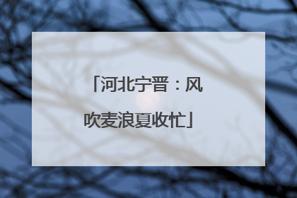 河北宁晋：风吹麦浪夏收忙