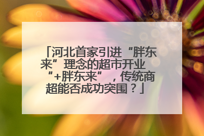 河北首家引进“胖东来”理念的超市开业 “+胖东来”，传统商超能否成功突围？