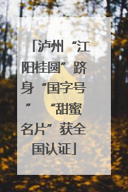 泸州“江阳桂圆”跻身“国字号” “甜蜜名片”获全国认证