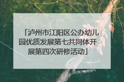 泸州市江阳区公办幼儿园优质发展第七共同体开展第四次研修活动