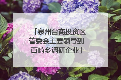 泉州台商投资区管委会主要领导到百崎乡调研企业