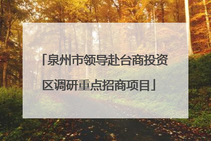 泉州市领导赴台商投资区调研重点招商项目