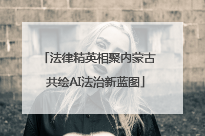 法律精英相聚内蒙古 共绘AI法治新蓝图