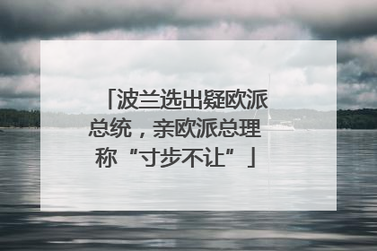 波兰选出疑欧派总统，亲欧派总理称“寸步不让”