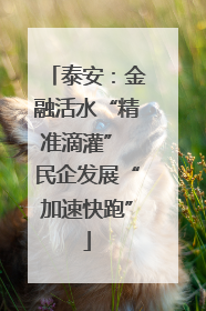 泰安：金融活水“精准滴灌” 民企发展“加速快跑”