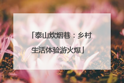 泰山炊烟巷：乡村生活体验游火爆