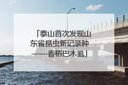泰山首次发现山东省昆虫新记录种——香椿巴木虱