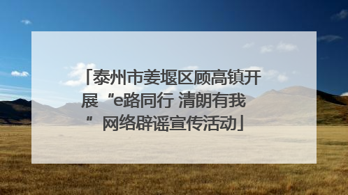 泰州市姜堰区顾高镇开展“e路同行 清朗有我”网络辟谣宣传活动