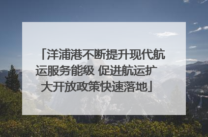 洋浦港不断提升现代航运服务能级 促进航运扩大开放政策快速落地